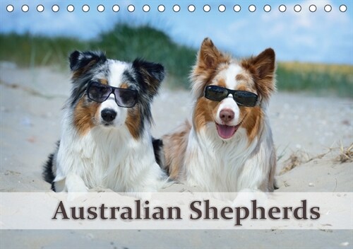 Wunderbare Australian Shepherds (Tischkalender 2018 DIN A5 quer) (Calendar)