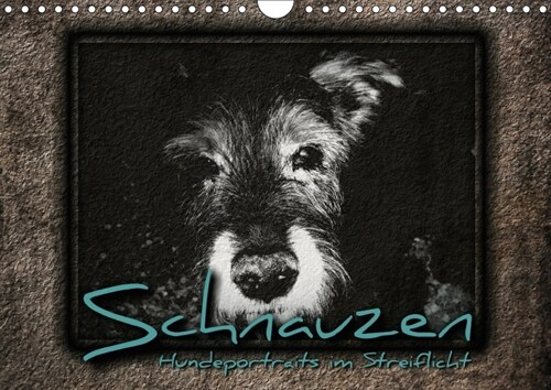 Schnauzen - Hundeportraits im Streiflicht (Wandkalender 2018 DIN A4 quer) (Calendar)