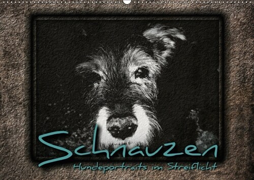 Schnauzen - Hundeportraits im Streiflicht (Wandkalender 2018 DIN A2 quer) (Calendar)