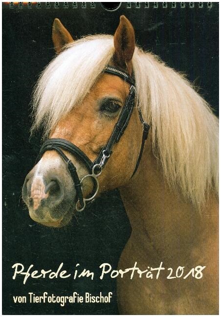 Pferde im Portait (Wandkalender 2018 DIN A4 hoch) (Calendar)