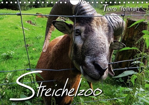 Streichelzoo - Tiere fellnah (Wandkalender 2018 DIN A4 quer) (Calendar)