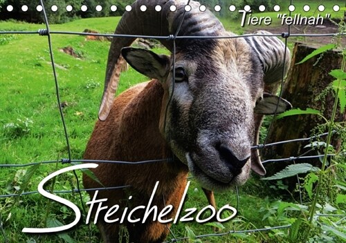 Streichelzoo - Tiere fellnah (Tischkalender 2018 DIN A5 quer) (Calendar)