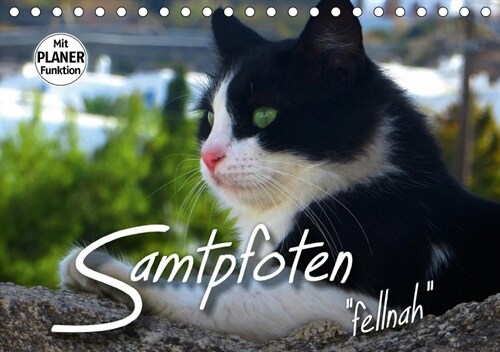 SAMTPFOTEN fellnah (Tischkalender 2018 DIN A5 quer) (Calendar)