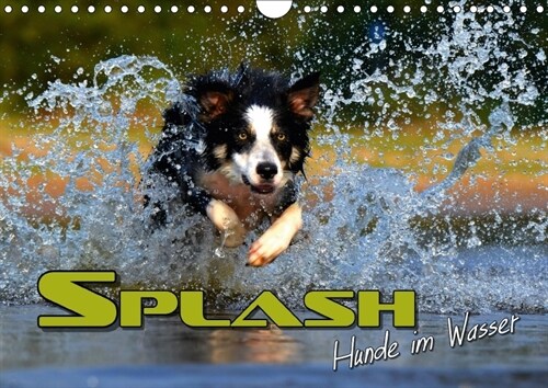 SPLASH - Hunde im Wasser (Wandkalender 2018 DIN A4 quer) Dieser erfolgreiche Kalender wurde dieses Jahr mit gleichen Bildern und aktualisiertem Kalend (Calendar)