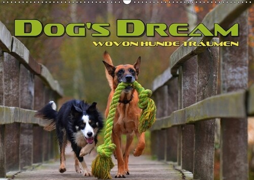 DOGS DREAM - wovon Hunde traumen (Wandkalender 2018 DIN A2 quer) Dieser erfolgreiche Kalender wurde dieses Jahr mit gleichen Bildern und aktualisiert (Calendar)