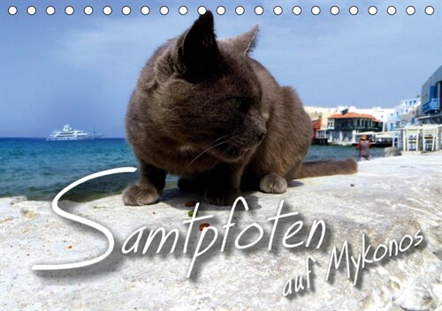 SAMTPFOTEN auf Mykonos (Tischkalender 2019 DIN A5 quer) (Calendar)