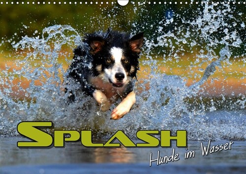 SPLASH - Hunde im Wasser (Wandkalender 2019 DIN A3 quer) (Calendar)