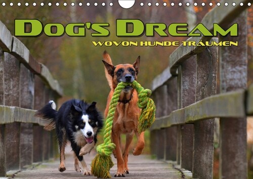 DOGS DREAM - wovon Hunde traumen (Wandkalender 2019 DIN A4 quer) (Calendar)