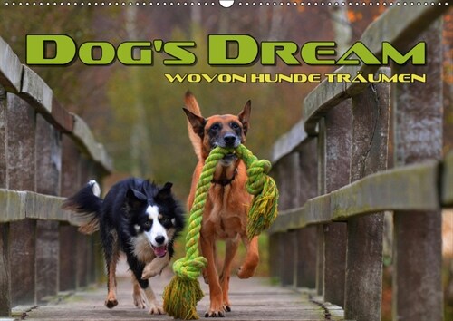 DOGS DREAM - wovon Hunde traumen (Wandkalender 2019 DIN A2 quer) (Calendar)