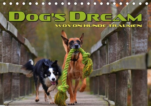 DOGS DREAM - wovon Hunde traumen (Tischkalender 2019 DIN A5 quer) (Calendar)