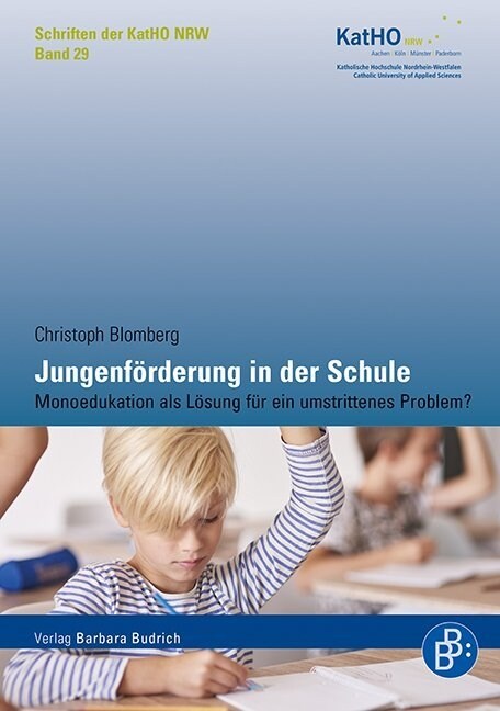 Jungenforderung in der Schule (Paperback)