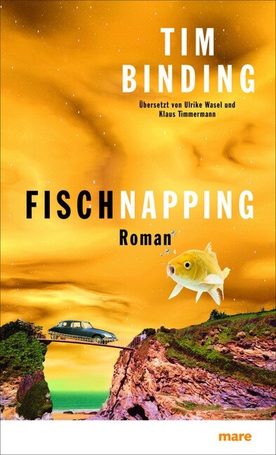 Fischnapping (Hardcover)