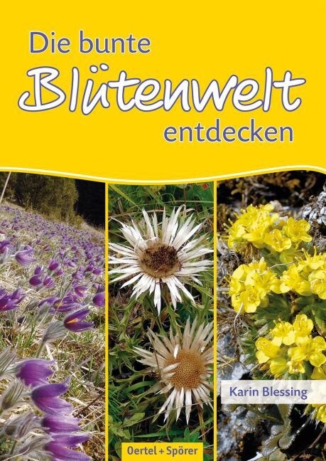 Die bunte Blutenwelt entdecken (Paperback)