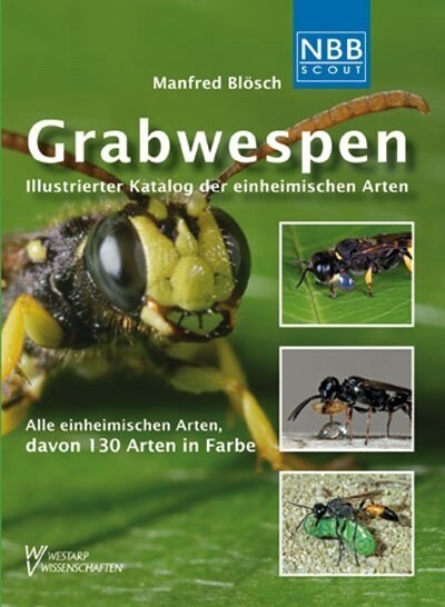 Grabwespen (Paperback)