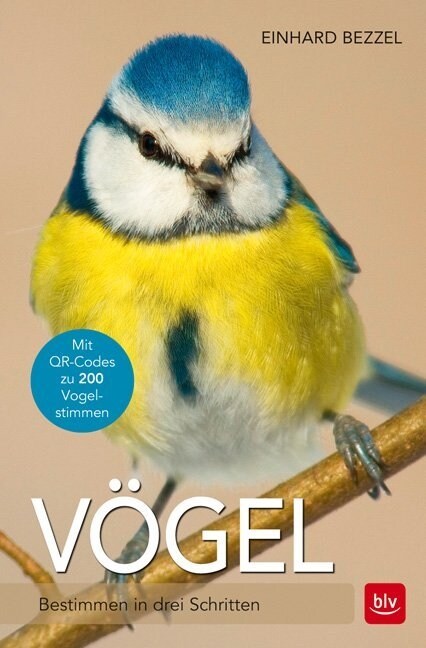 Vogel (Paperback)