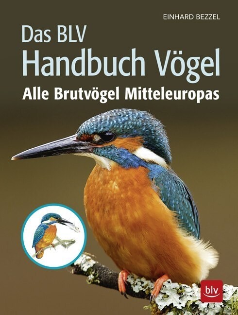 Das BLV Handbuch Vogel (Hardcover)