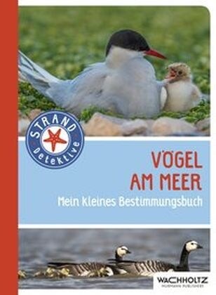 Vogel am Meer (Paperback)