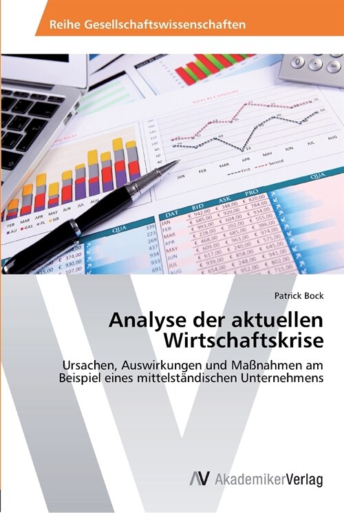 Analyse der aktuellen Wirtschaftskrise (Paperback)