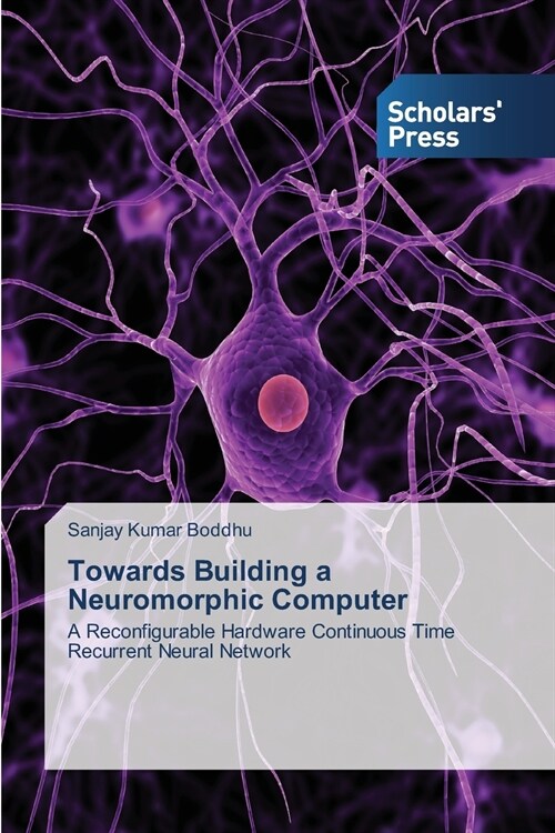 [중고] Towards Building a Neuromorphic Computer (Paperback)
