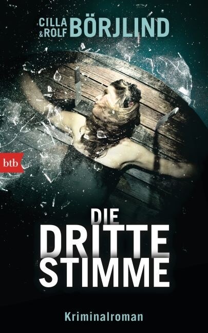 Die dritte Stimme (Hardcover)