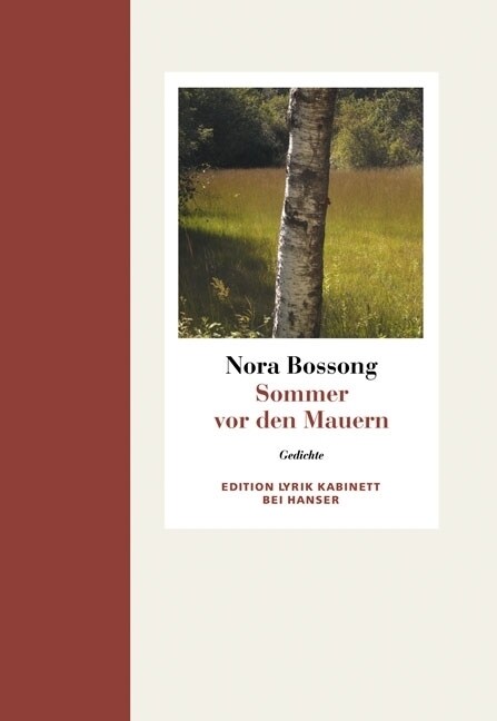 Sommer vor den Mauern (Hardcover)