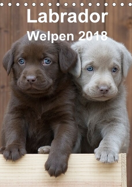 Labrador Welpen (Tischkalender 2018 DIN A5 hoch) (Calendar)