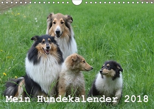 Mein Hundekalender 2018 (Wandkalender 2018 DIN A4 quer) (Calendar)