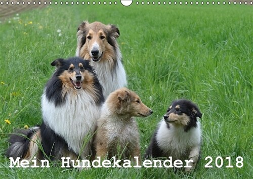 Mein Hundekalender 2018 (Wandkalender 2018 DIN A3 quer) (Calendar)