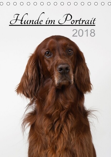 Hunde im Portrait (Tischkalender 2018 DIN A5 hoch) (Calendar)
