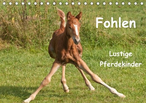 Fohlen - Lustige Pferdekinder (Tischkalender 2018 DIN A5 quer) (Calendar)