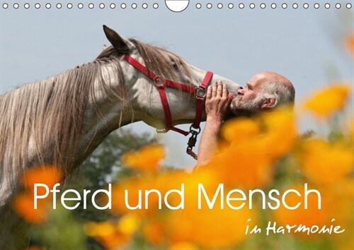 Pferd und Mensch in Harmonie (Wandkalender 2018 DIN A4 quer) Dieser erfolgreiche Kalender wurde dieses Jahr mit gleichen Bildern und aktualisiertem Ka (Calendar)