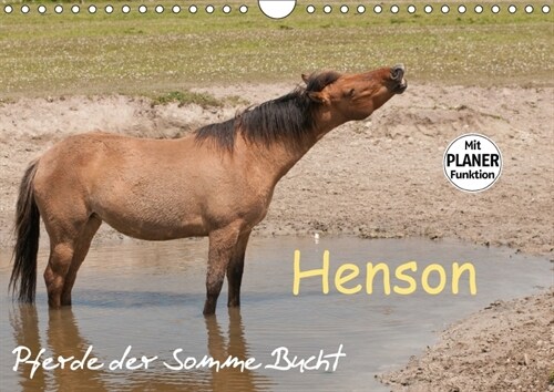 Henson - Pferde der Somme Bucht (Wandkalender 2018 DIN A4 quer) Dieser erfolgreiche Kalender wurde dieses Jahr mit gleichen Bildern und aktualisiertem (Calendar)