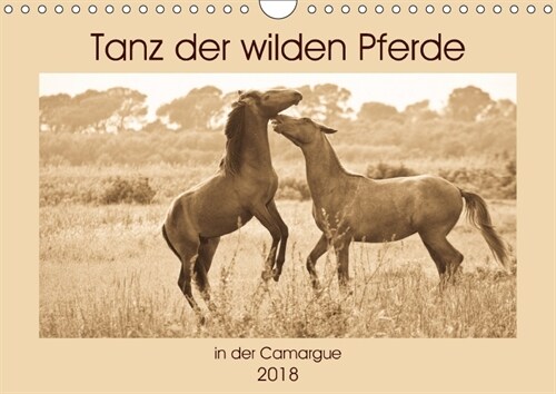 Tanz der wilden Pferde in der Camargue (Wandkalender 2018 DIN A4 quer) (Calendar)