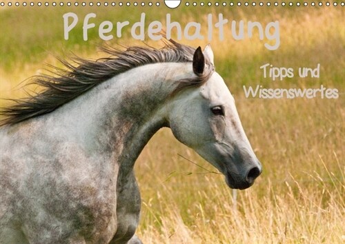 Pferdehaltung Tipps und Wissenswertes (Wandkalender 2018 DIN A3 quer) (Calendar)