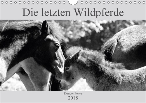 Die letzten Wildpferde Exmoor Ponys (Wandkalender 2018 DIN A4 quer) Dieser erfolgreiche Kalender wurde dieses Jahr mit gleichen Bildern und aktualisie (Calendar)