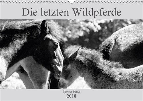 Die letzten Wildpferde Exmoor Ponys (Wandkalender 2018 DIN A3 quer) Dieser erfolgreiche Kalender wurde dieses Jahr mit gleichen Bildern und aktualisie (Calendar)