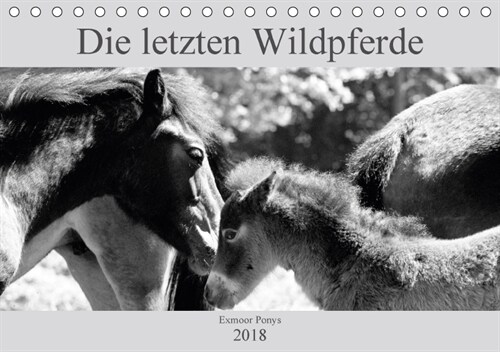 Die letzten Wildpferde Exmoor Ponys (Tischkalender 2018 DIN A5 quer) Dieser erfolgreiche Kalender wurde dieses Jahr mit gleichen Bildern und aktualisi (Calendar)