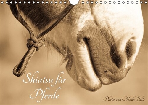 Shiatsu fur Pferde - Photos von Meike Bolts (Wandkalender 2018 DIN A4 quer) (Calendar)