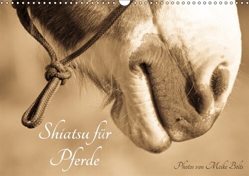 Shiatsu fur Pferde - Photos von Meike Bolts (Wandkalender 2018 DIN A3 quer) (Calendar)