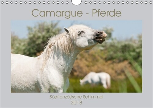 Camargue-Pferde - Sudfranzosische Schimmel (Wandkalender 2018 DIN A4 quer) (Calendar)