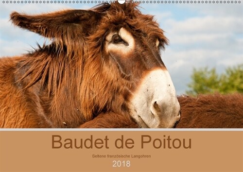 Baudet de Poitou - Seltene franzosische Langohren (Wandkalender 2018 DIN A2 quer) Dieser erfolgreiche Kalender wurde dieses Jahr mit gleichen Bildern (Calendar)