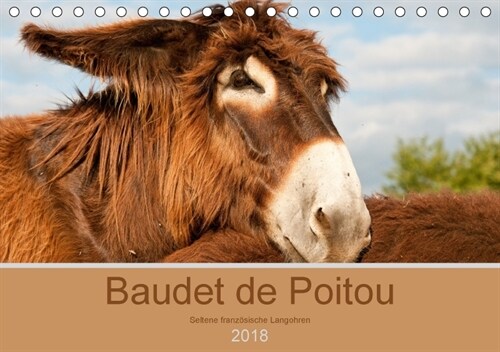 Baudet de Poitou - Seltene franzosische Langohren (Tischkalender 2018 DIN A5 quer) Dieser erfolgreiche Kalender wurde dieses Jahr mit gleichen Bildern (Calendar)