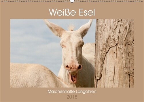 Weiße Esel - Marchenhafte Langohren (Wandkalender 2018 DIN A2 quer) (Calendar)