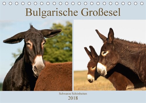 Bulgarische Großesel - Schwarze Schonheiten (Tischkalender 2018 DIN A5 quer) (Calendar)