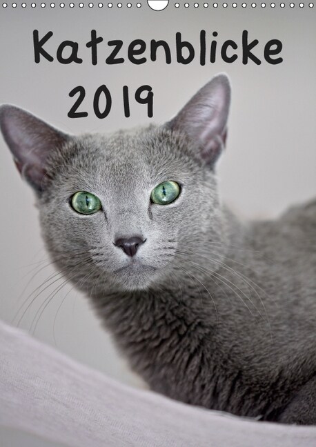 Katzenblicke 2019 (Wandkalender 2019 DIN A3 hoch) (Calendar)