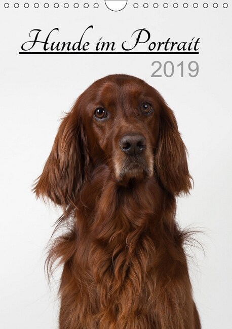 Hunde im Portrait (Wandkalender 2019 DIN A4 hoch) (Calendar)