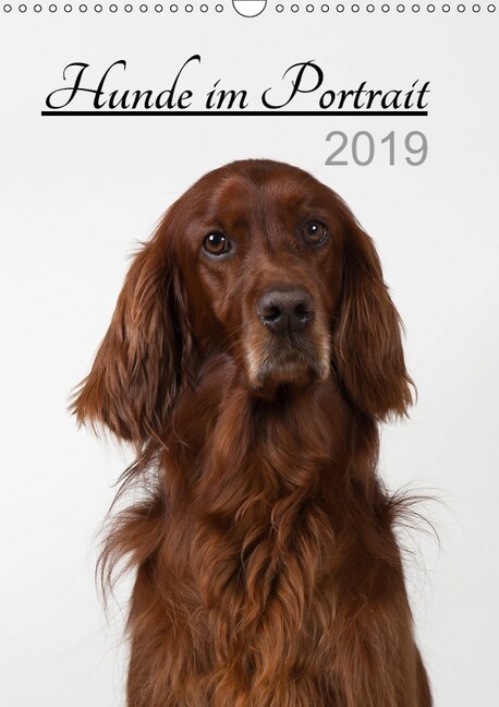 Hunde im Portrait (Wandkalender 2019 DIN A3 hoch) (Calendar)