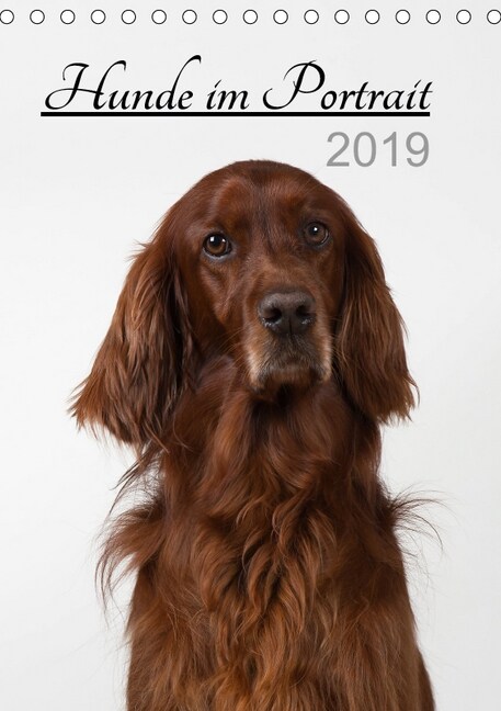 Hunde im Portrait (Tischkalender 2019 DIN A5 hoch) (Calendar)