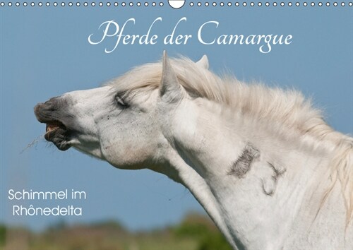 Pferde der Camargue - Schimmel im Rhonedelta (Wandkalender 2019 DIN A3 quer) (Calendar)