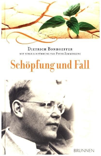 Schopfung und Fall (Hardcover)